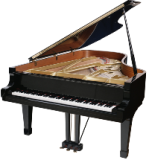Musical Instruments